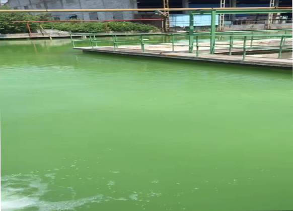 污水处理药剂,水处理药剂