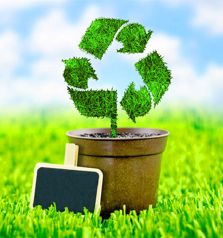 污水处理，气候变化，二氧化碳排放，白皮书